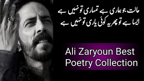 Dukaandar bola, sharm nahin aati, murgi hokar anda mangti ho. . Ali zaryoun poetry status